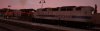 IMG_1823.jpeg