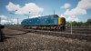 TSW3_David_1741007715_00.jpg