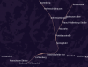 La_671_672_Bild_01.png