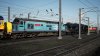 IMG_2342.jpeg