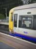 IMG_0779.jpeg
