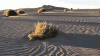 IMG_4329.gif