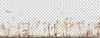 upload_2025-4-2_12-41-16.jpeg