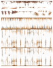 upload_2025-4-2_12-43-36.png