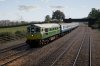 TSW_Peter H_1573593669_00a.jpg