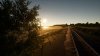 Train Sim World_20190918200621.jpg