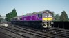 IMG_2974.jpeg