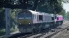 IMG_2975.jpeg