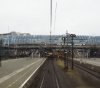 IMG_9014.jpeg