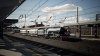 IMG_7911.jpeg