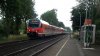 P1010657.MOV.21_52_44_10.Standbild001.jpg