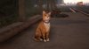 upload_2025-5-6_23-44-32.jpeg