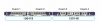 upload_2025-5-7_23-46-20.png