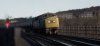 IMG_1636.jpeg