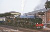 30777-Sir-Lamiel-at-York-July-1983.jpg