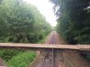 20250524_172257.jpg