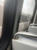 IMG_2562.jpeg