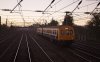 IMG_2025.06.23-22.44.05.jpg