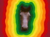 IMG_0609.gif