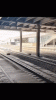 cat-train.gif