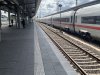 IMG_0251.jpeg