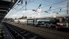 IMG_7905.jpeg