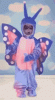 upload_2025-8-2_18-53-58.gif
