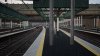 IMG_2341.jpeg