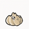 upload_2025-8-10_12-52-8.gif
