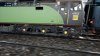 IMG_5813.jpeg