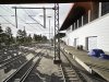 IMG_8999.jpeg