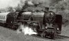 900_KM1-BR03.jpg