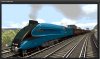 TS Bittern Mallard.jpg