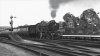 Screenshot_Riviera Line in the Fifties_50.43276--3.56546_16-04-50.jpg