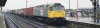 IMG_4640.jpeg