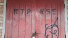VideoCapture_20250821-153547.jpg