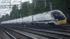 IMG_6291.jpeg