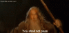 upload_2025-9-1_15-41-38.gif