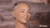 upload_2025-9-4_19-48-23.gif