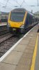 IMG_3617.jpeg