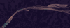 upload_2025-9-6_15-47-15.png