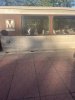 IMG_0005.jpeg