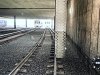 IMG_9284.jpeg