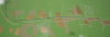 upload_2025-9-20_19-42-7.png