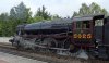 DSC03541_cut.JPG