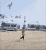 upload_2025-9-22_4-4-36.gif