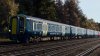IMG_7875.jpeg