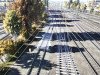 IMG_9338.jpeg