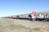 IMG_5209.jpeg