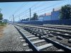 IMG_4245.jpeg